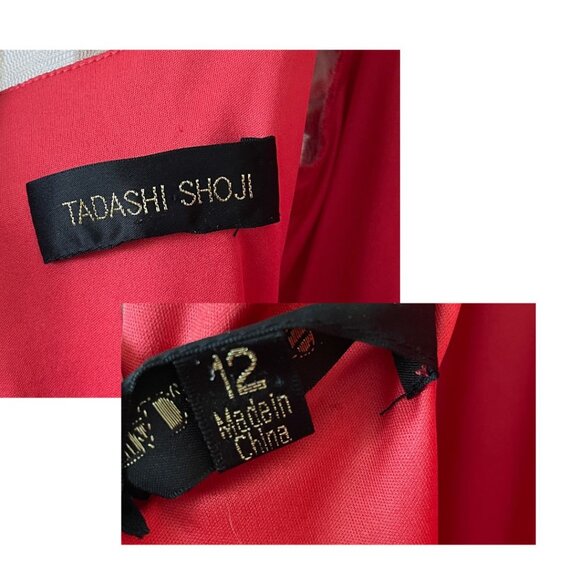 Tadashi Shoji Red Blouson Waist Sheer Embroidered Lace Dress Sz 12 Holiday - Picture 3 of 13